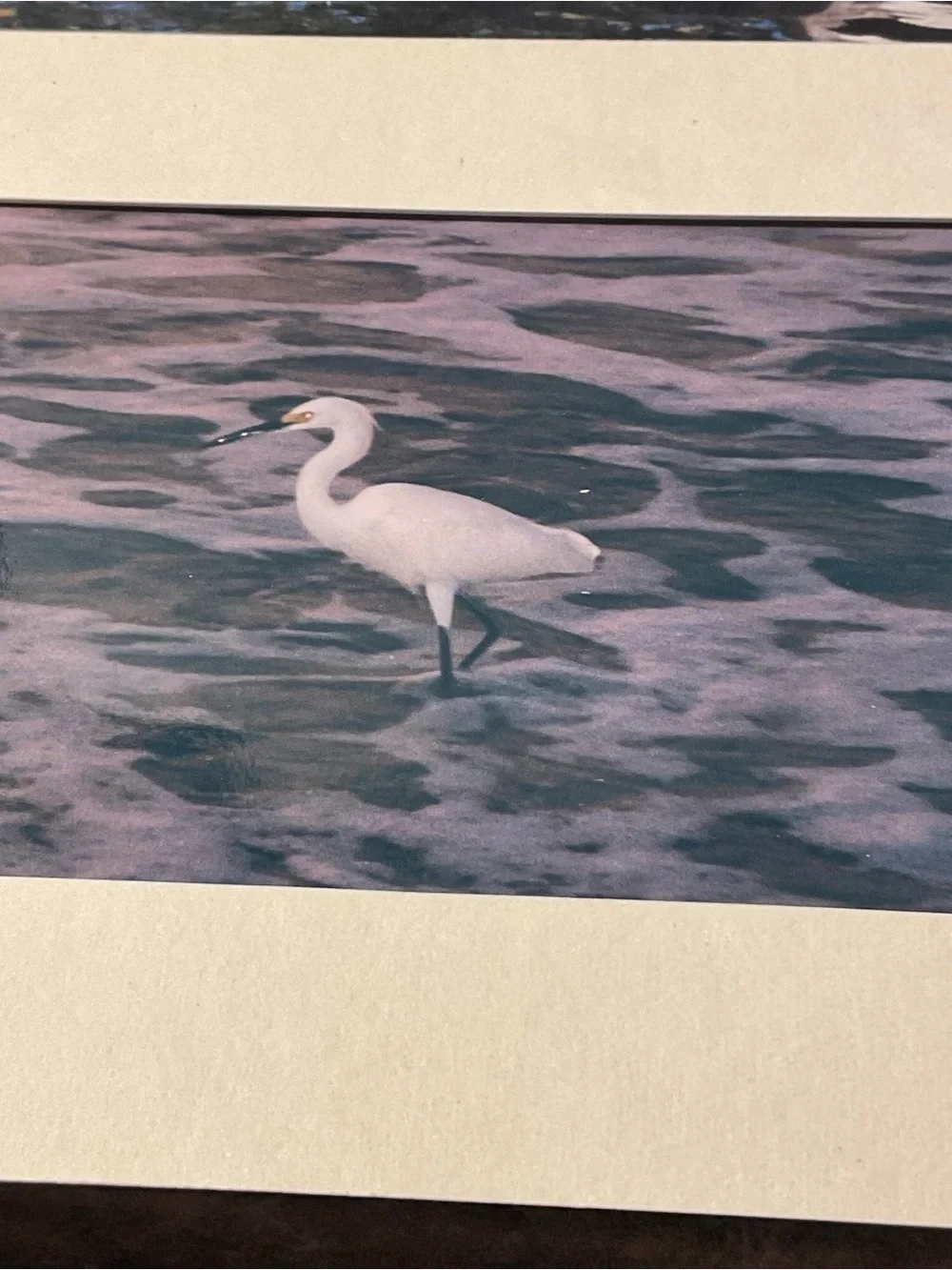 Mandarin Duck and Snowy Egret Art Prints